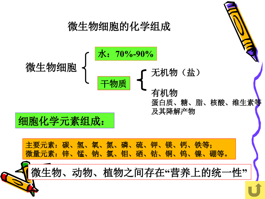 微生物课件081228上传细菌的营养代谢等_第2页