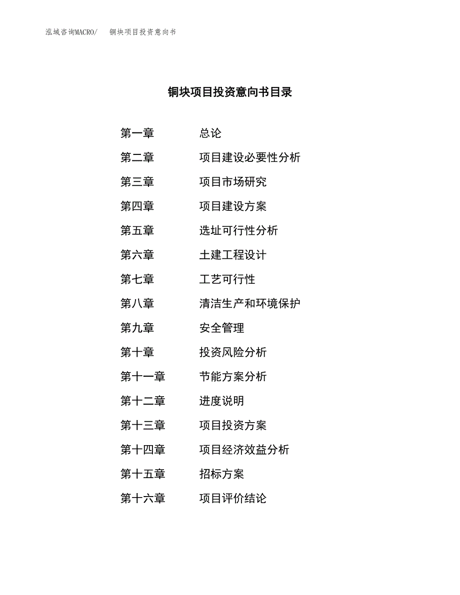 铜块项目投资意向书(总投资17000万元)_第2页