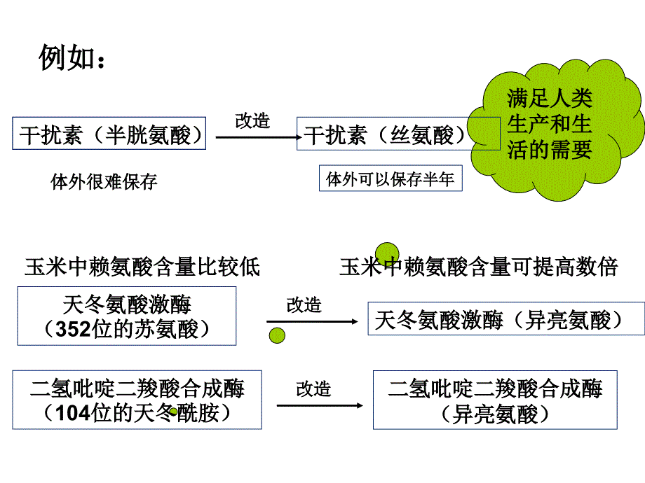 专题二：蛋白质工程的崛起ppt_第3页