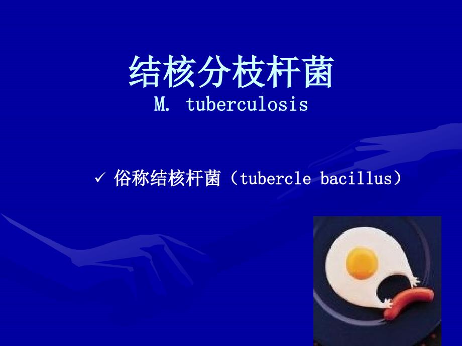 医学微生物学分枝杆菌属_第3页