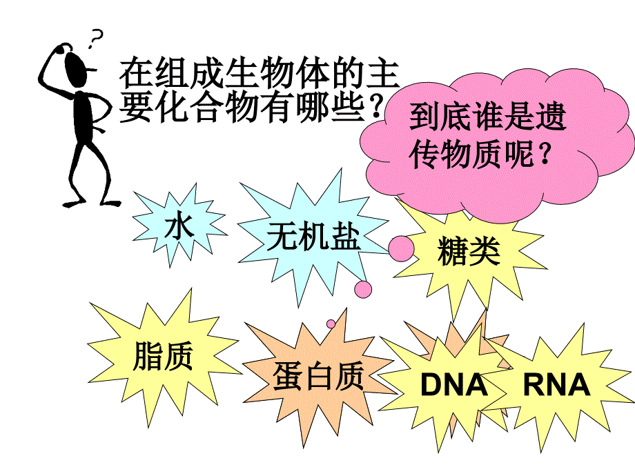 探索遗传物质的过程第一节探索遗传物质的过程xin_第4页