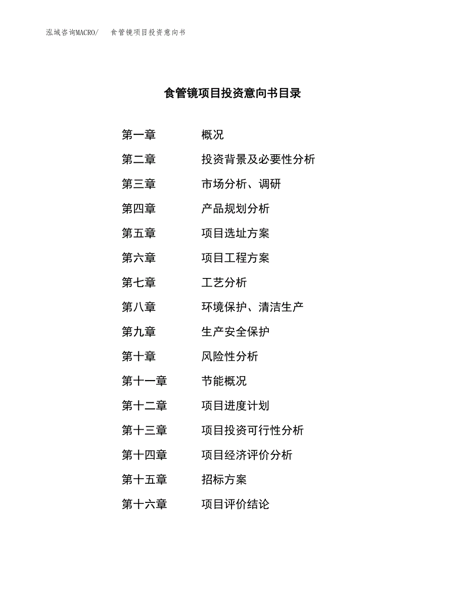 食管镜项目投资意向书(总投资19000万元)_第2页