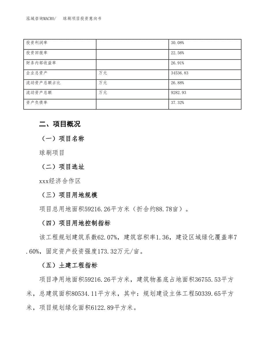 球刷项目投资意向书(总投资19000万元)_第5页