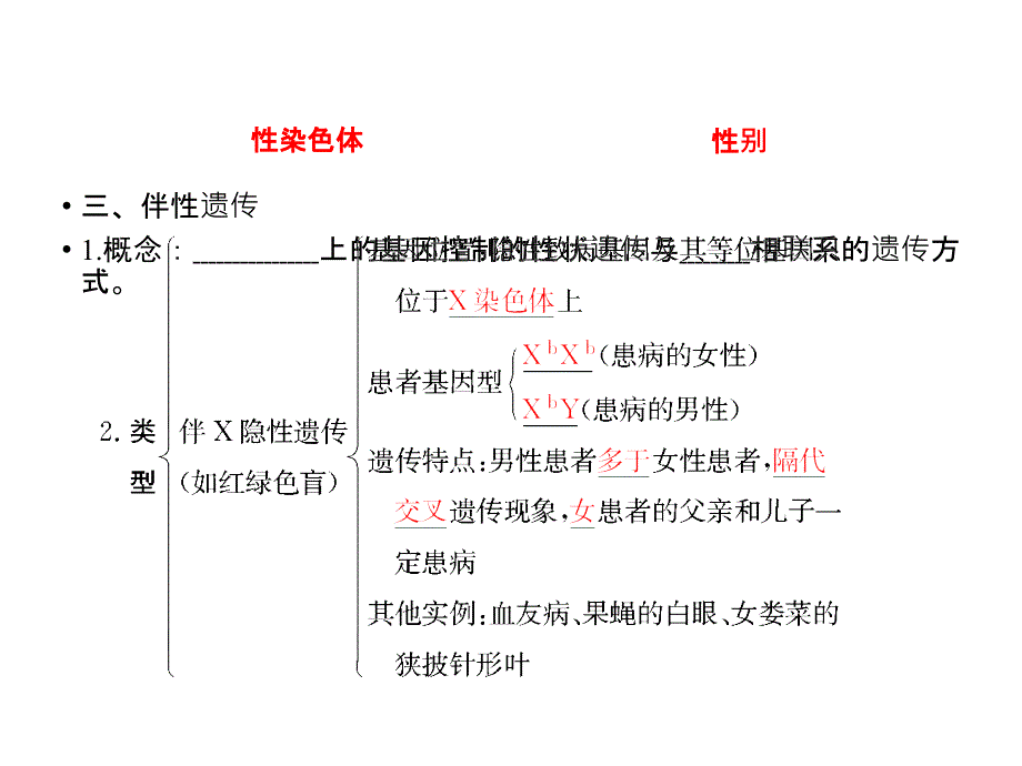 基因在染色体上与伴性遗传复习课件_第4页