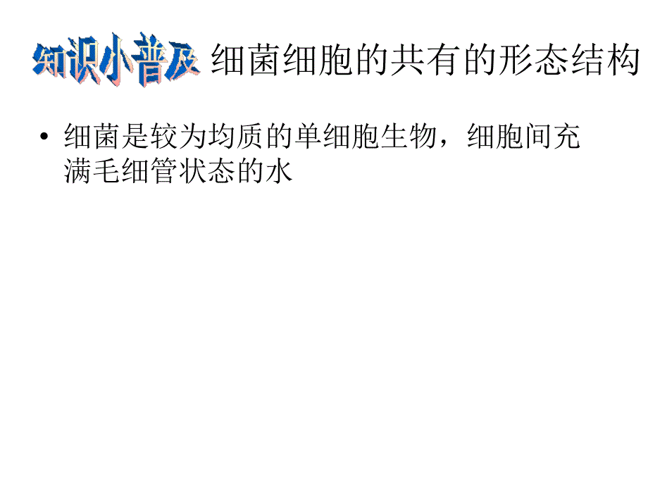 从细胞形态结构分析细菌与放线菌-12科五第一组幻灯片_第2页