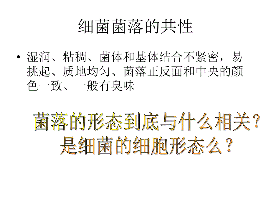 从细胞形态结构分析细菌与放线菌-12科五第一组幻灯片_第3页