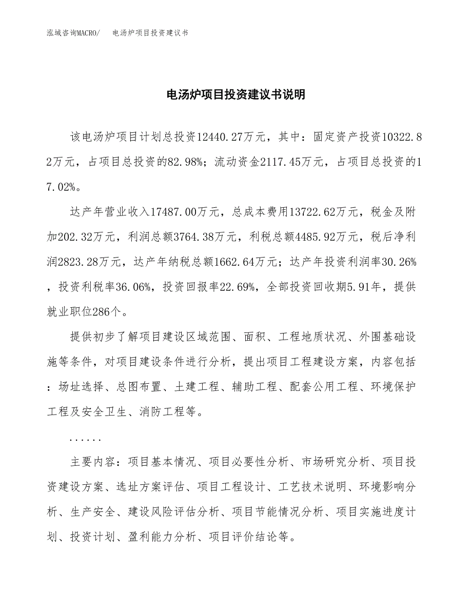 电汤炉项目投资建议书(总投资12000万元)_第2页