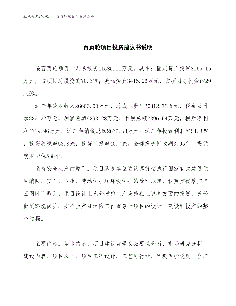 百页轮项目投资建议书(总投资12000万元)_第2页