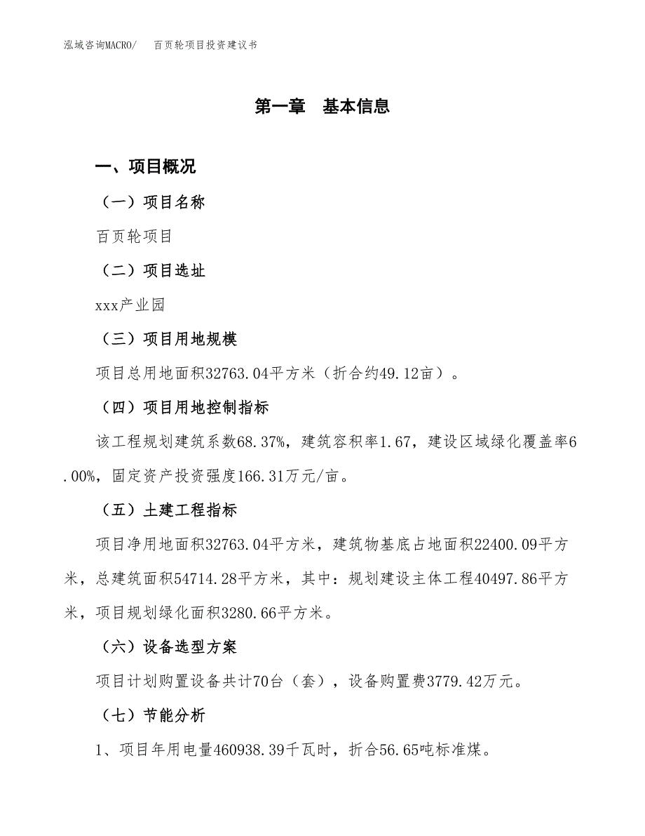 百页轮项目投资建议书(总投资12000万元)_第4页