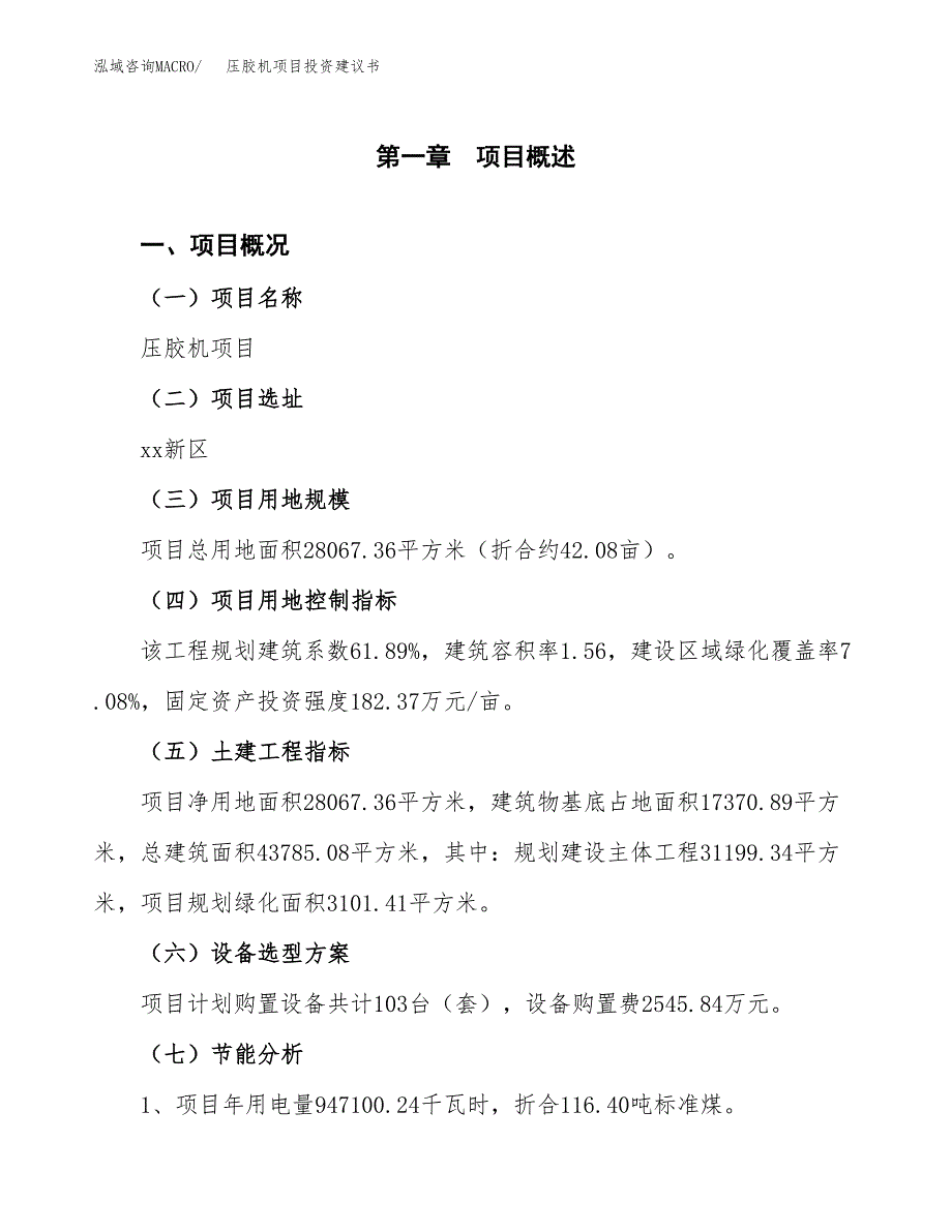 压胶机项目投资建议书(总投资9000万元)_第3页