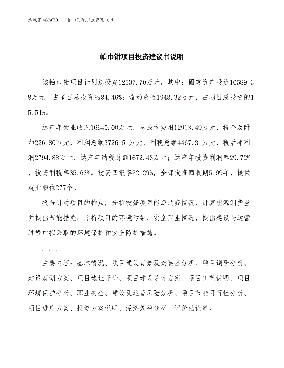 帕巾钳项目投资建议书(总投资13000万元)_第2页