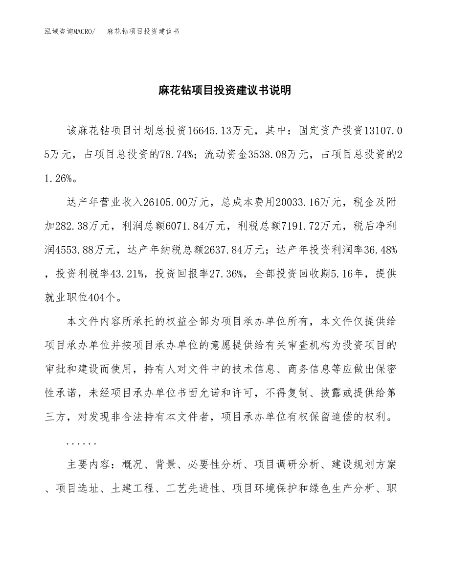 麻花钻项目投资建议书(总投资17000万元)_第2页