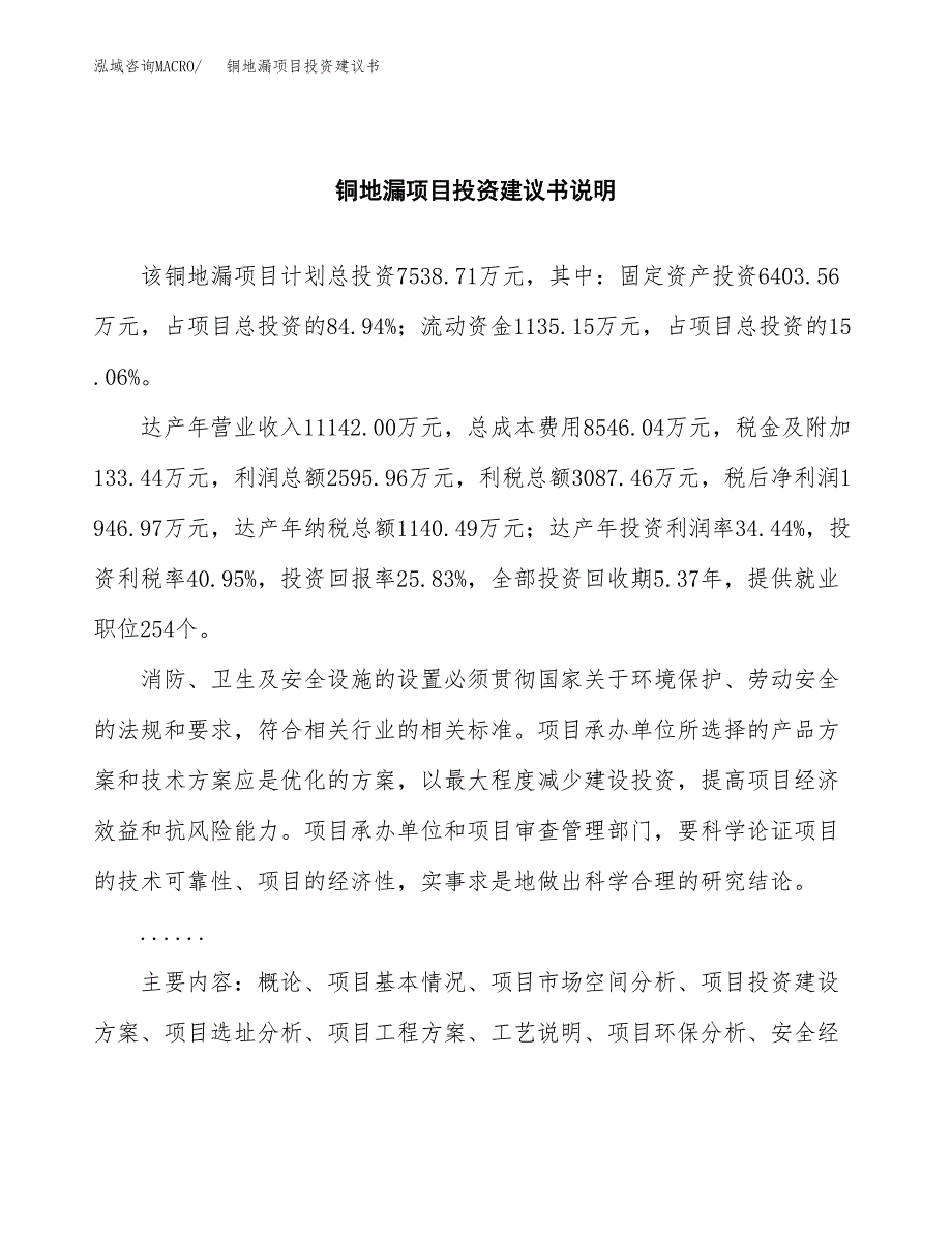 铜地漏项目投资建议书(总投资8000万元)_第2页