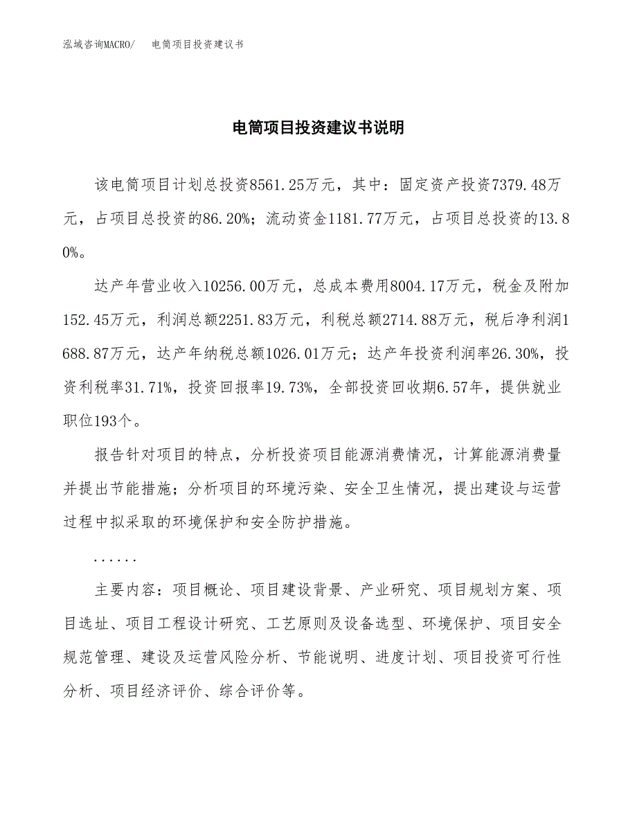 电筒项目投资建议书(总投资9000万元)_第2页