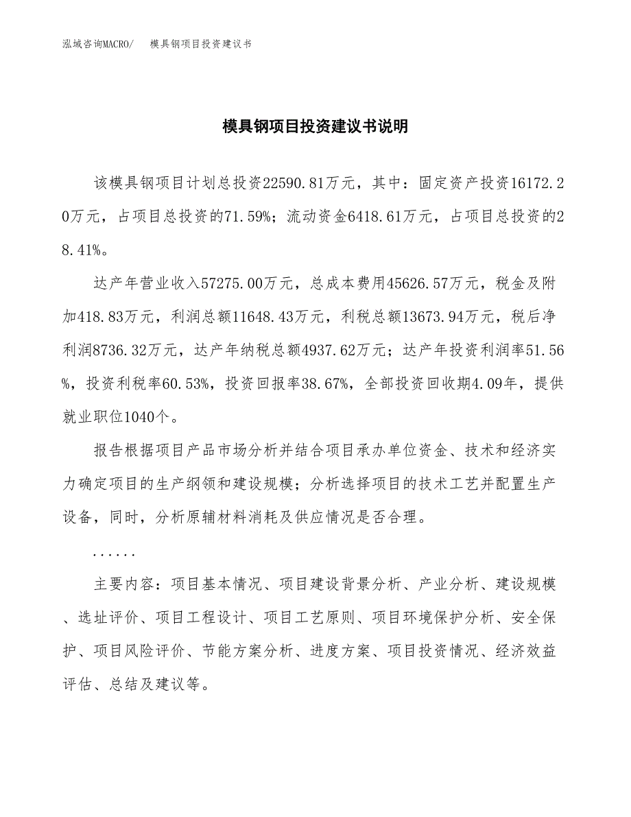 模具钢项目投资建议书(总投资23000万元)_第2页