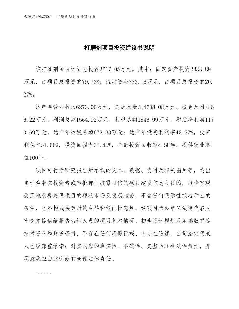 打磨剂项目投资建议书(总投资4000万元)_第2页