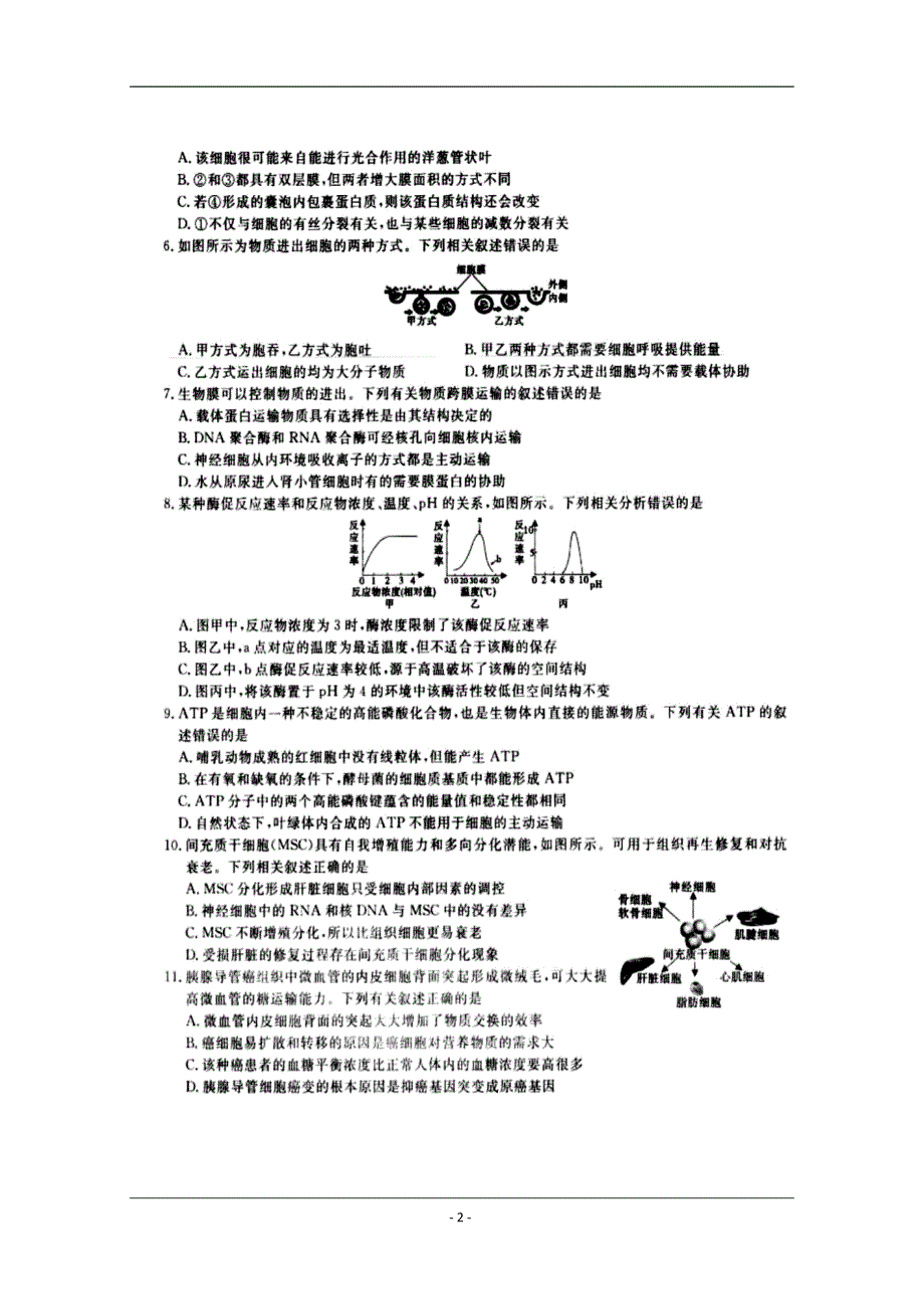 安徽省2018-2019学年高二下学期适应性模拟测试生物试题 扫描版含答案_第2页