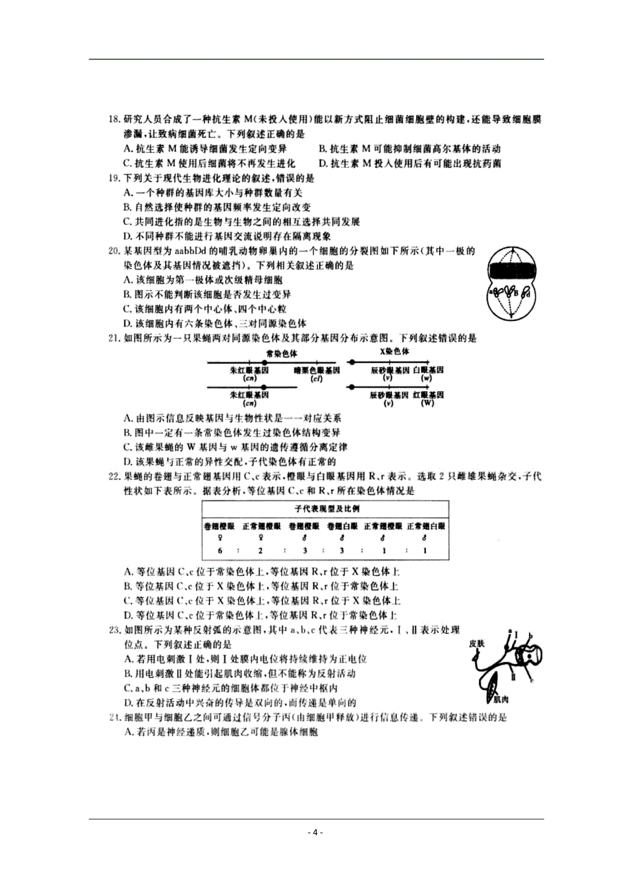 安徽省2018-2019学年高二下学期适应性模拟测试生物试题 扫描版含答案_第4页