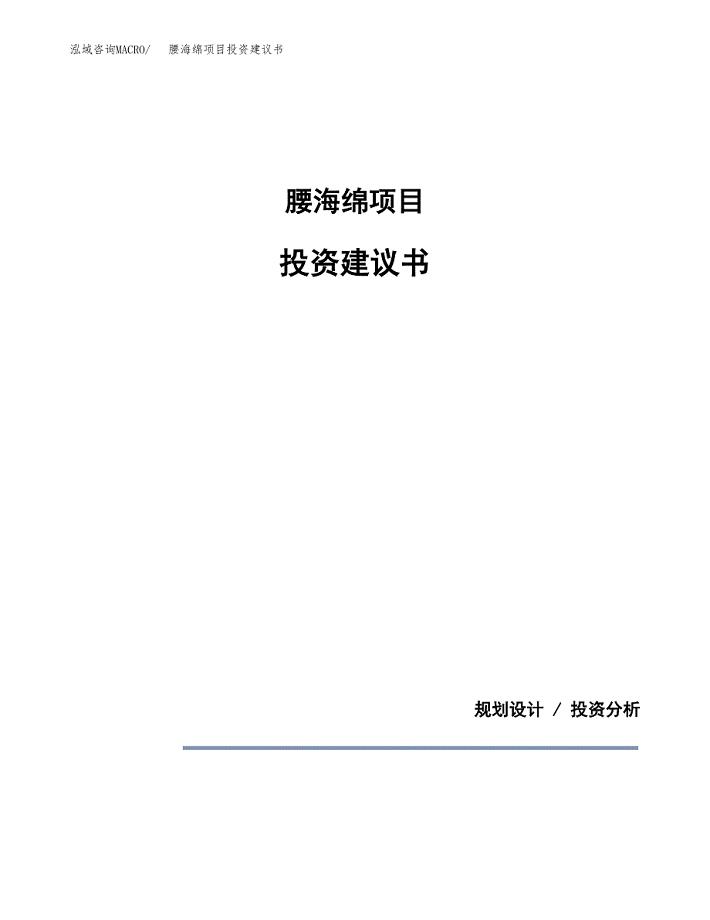 腰海绵项目投资建议书(总投资15000万元)