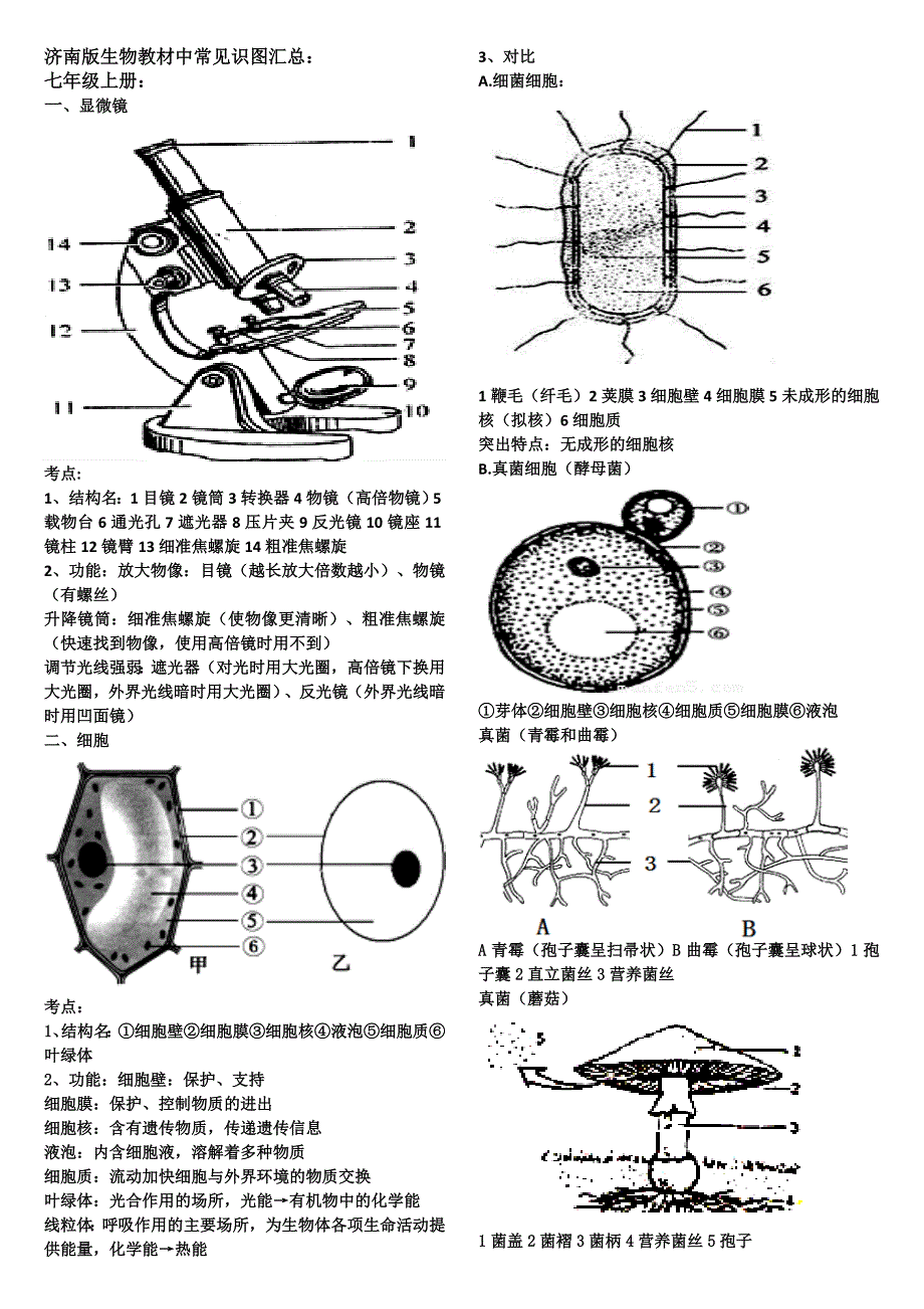 2018中考济南版生物常见识图汇总_第1页