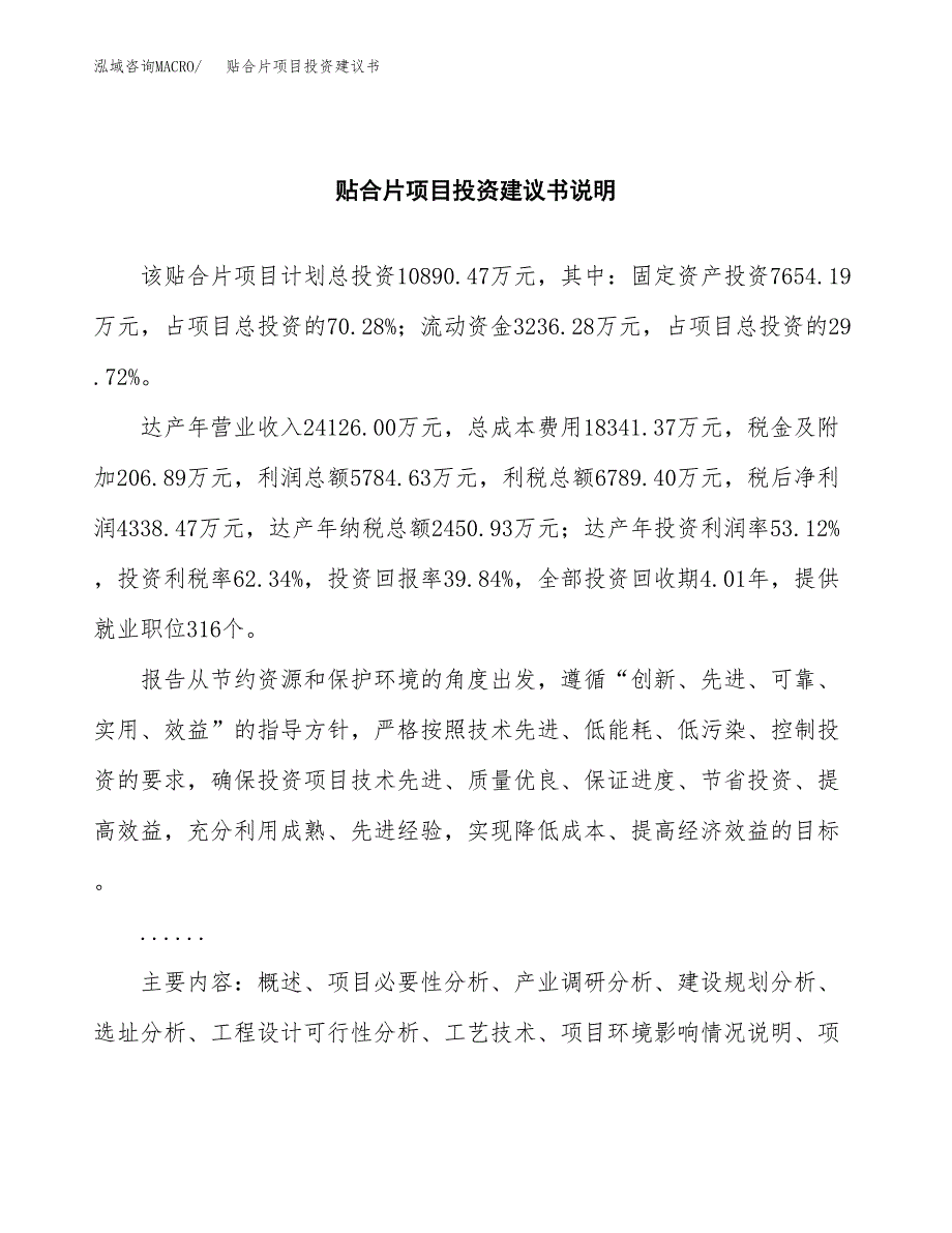 贴合片项目投资建议书(总投资11000万元)_第2页