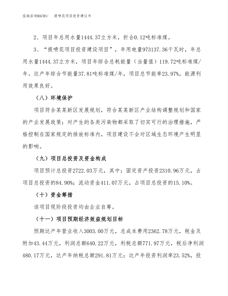 提喷花项目投资建议书(总投资3000万元)_第4页