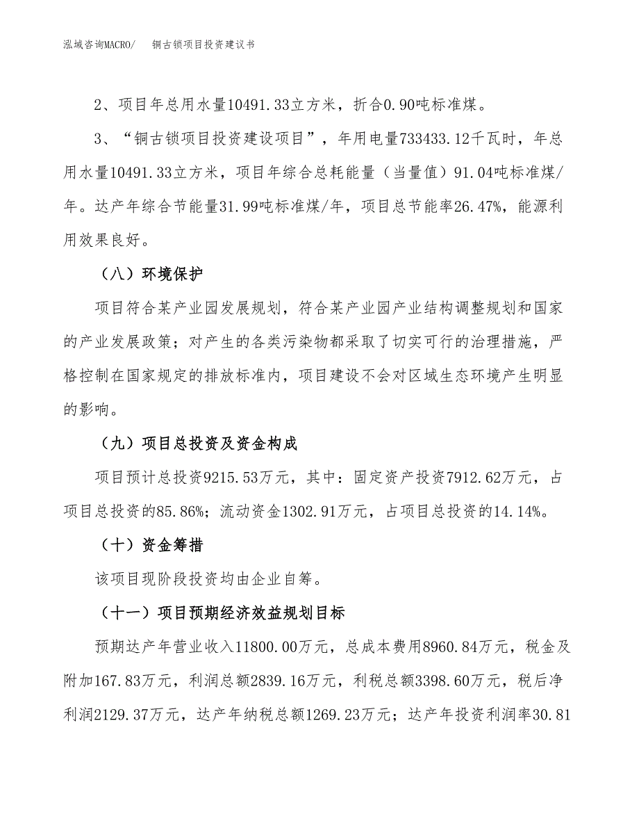 铜古锁项目投资建议书(总投资9000万元)_第4页