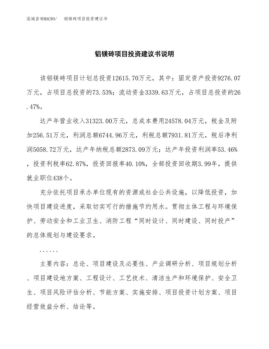 铝镁砖项目投资建议书(总投资13000万元)_第2页