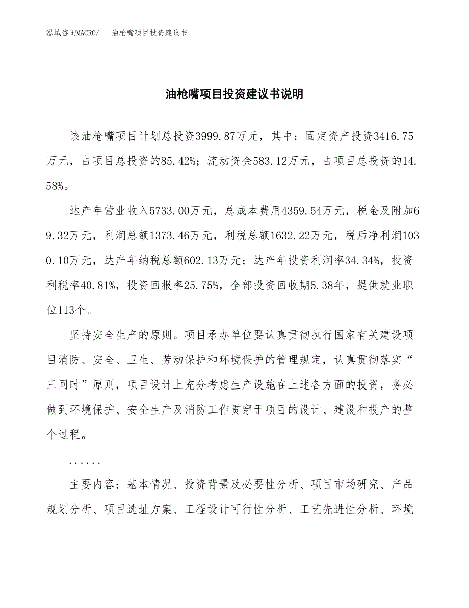 油枪嘴项目投资建议书(总投资4000万元)_第2页