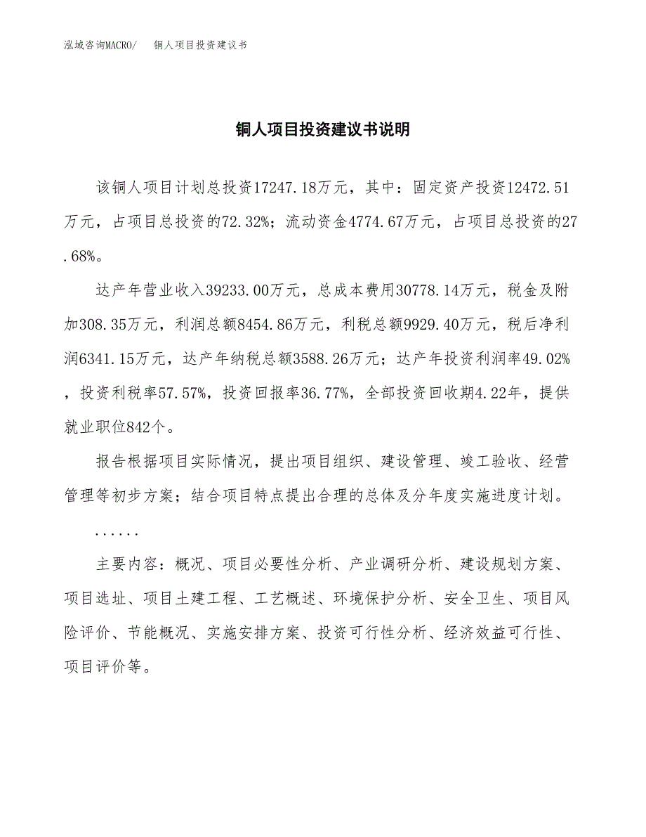 铜人项目投资建议书(总投资17000万元)_第2页