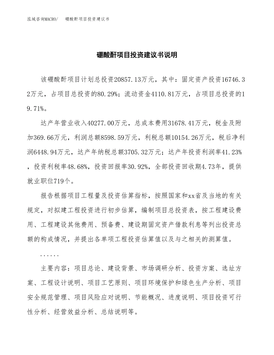 硼酸酐项目投资建议书(总投资21000万元)_第2页