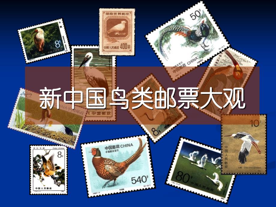 新中国鸟类邮票大观课件_第1页