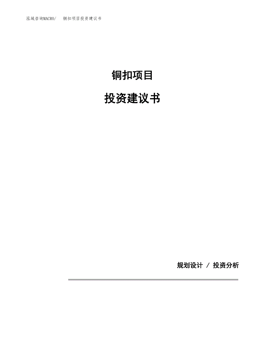 铜扣项目投资建议书(总投资13000万元)_第1页