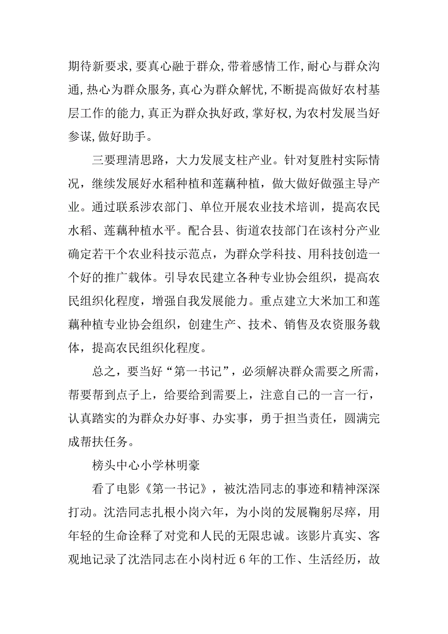 村第一书记心得体会.doc_第4页