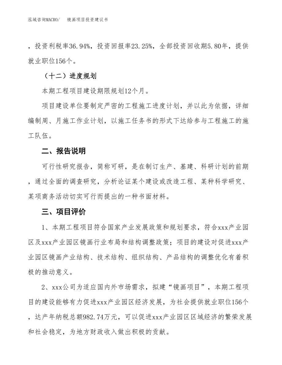 镜画项目投资建议书(总投资7000万元)_第5页