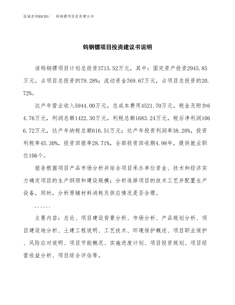 钨钢镖项目投资建议书(总投资4000万元)_第2页