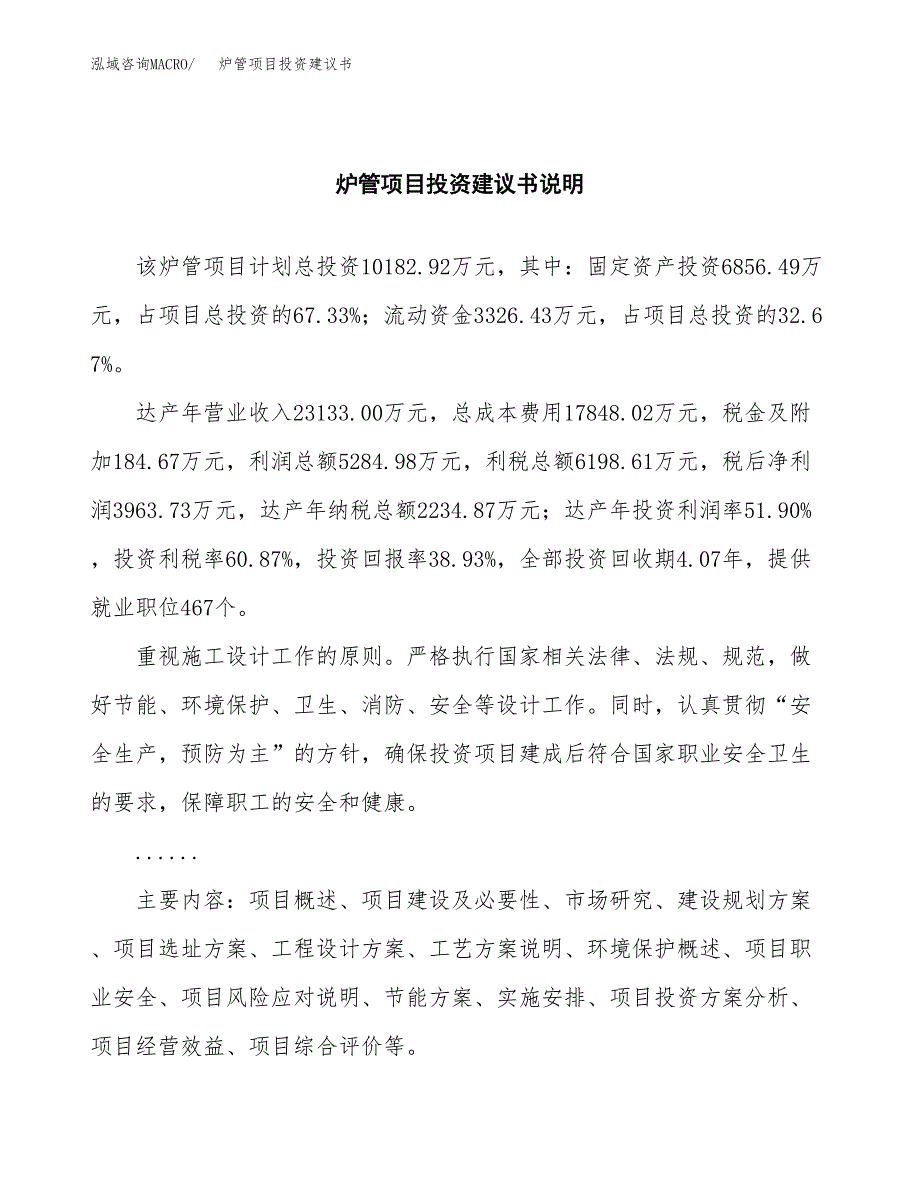 炉管项目投资建议书(总投资10000万元)_第2页