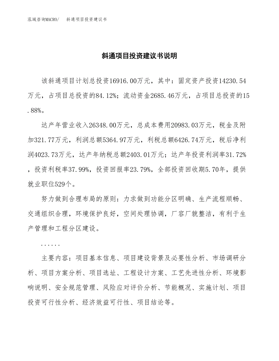 斜通项目投资建议书(总投资17000万元)_第2页