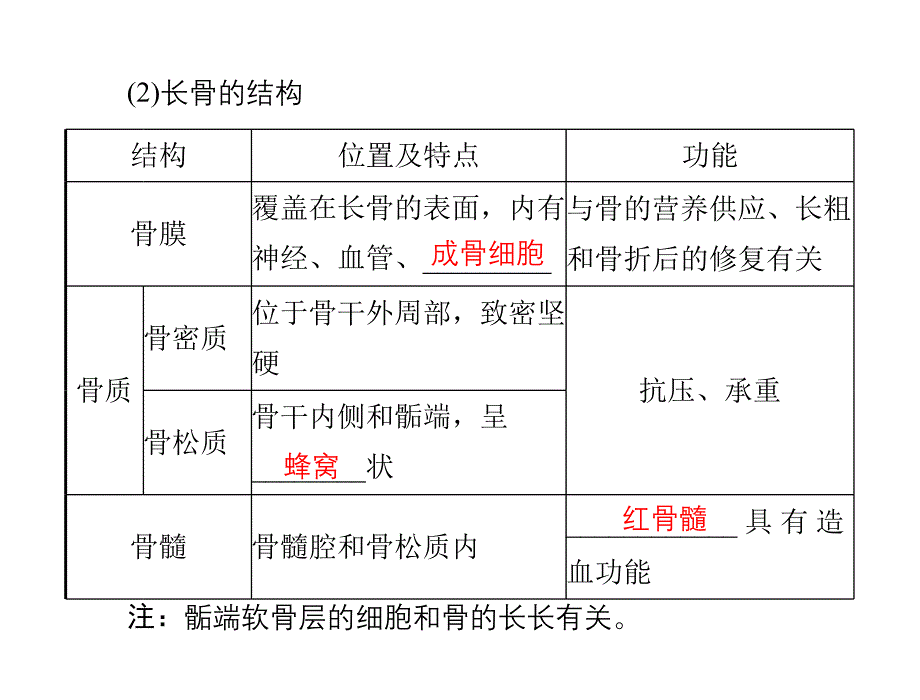 动物运动的形成_课件_第3页