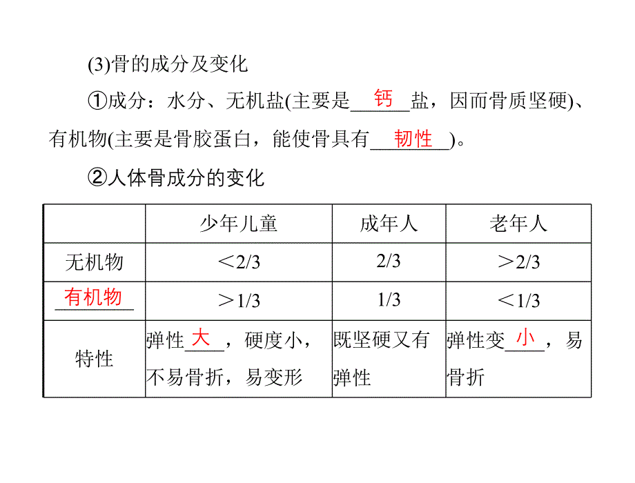 动物运动的形成_课件_第4页