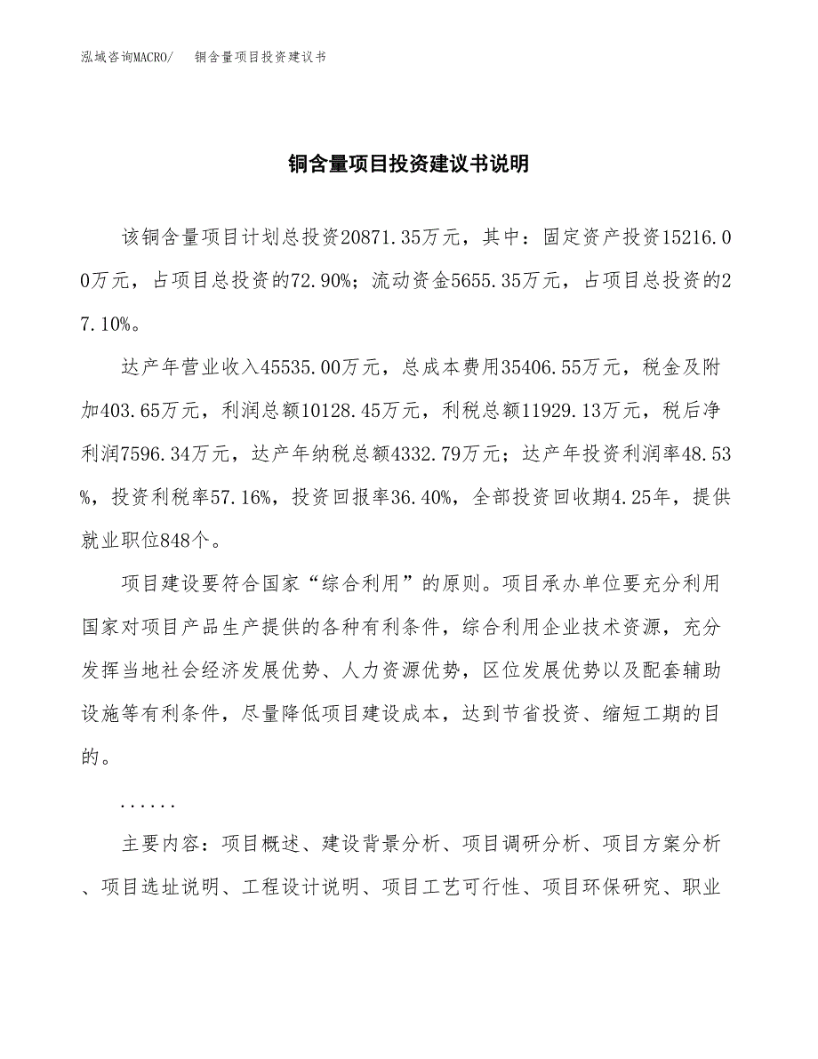 铜含量项目投资建议书(总投资21000万元)_第2页