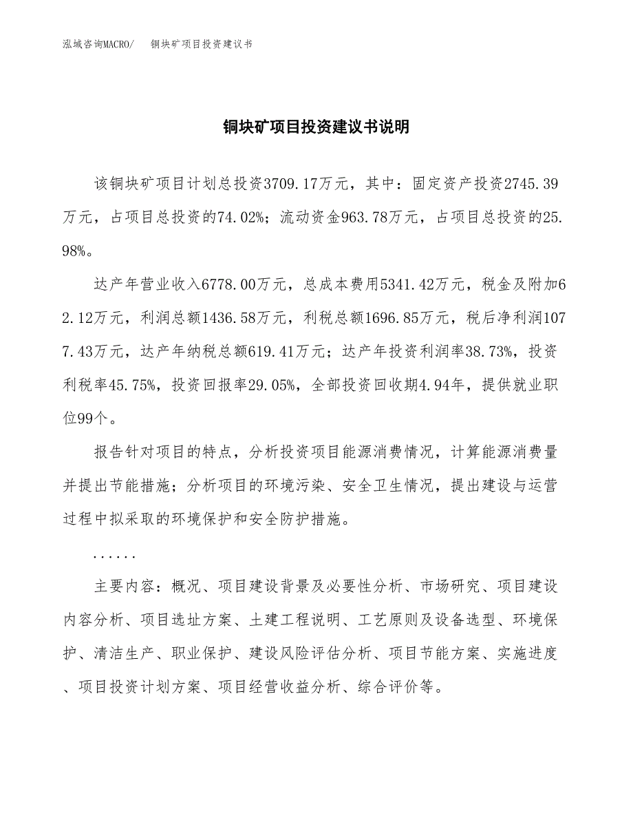 铜块矿项目投资建议书(总投资4000万元)_第2页