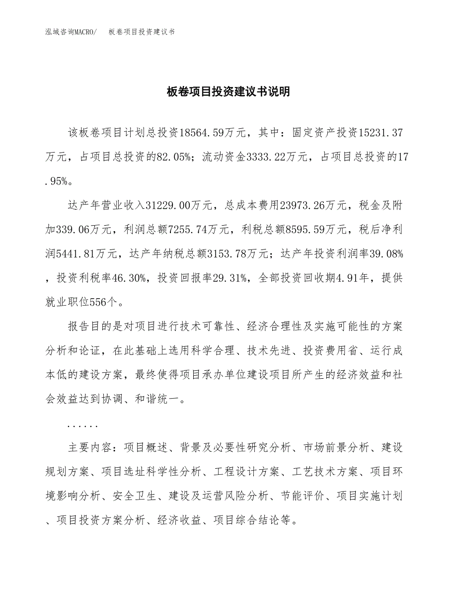 板卷项目投资建议书(总投资19000万元)_第2页