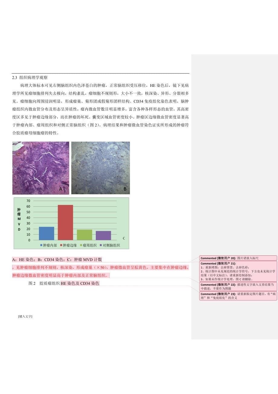 裸小鼠脑胶质瘤原位移植瘤模型的建立及磁共振成像研究_第5页