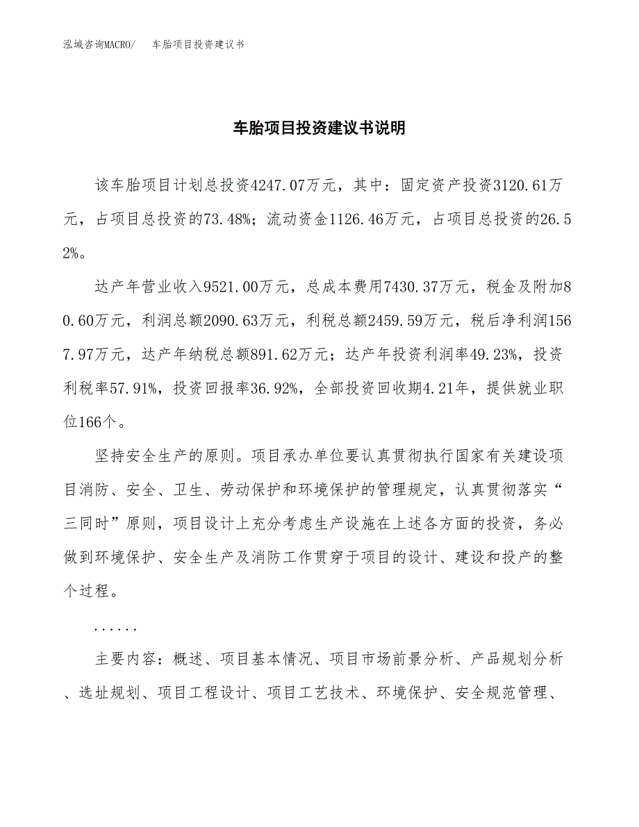 车胎项目投资建议书(总投资4000万元)_第2页