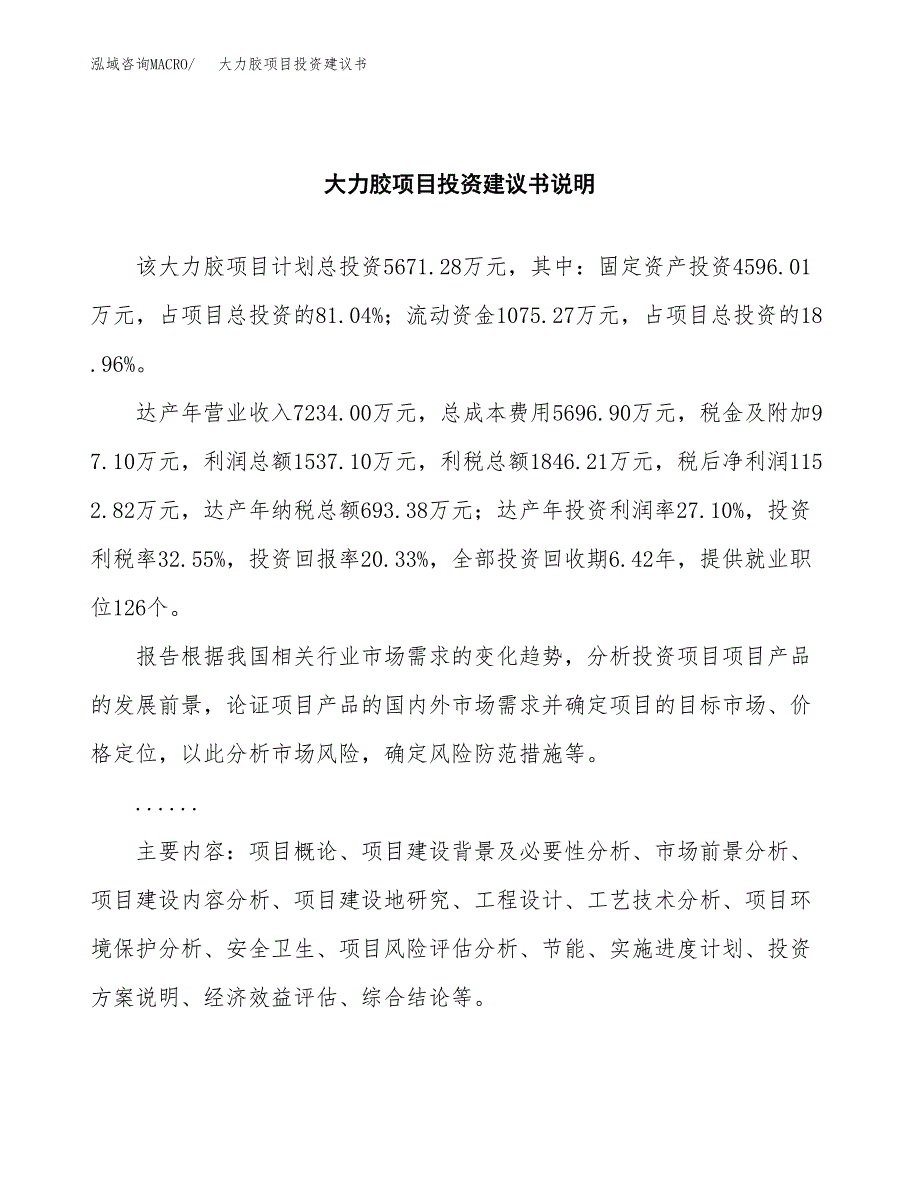 大力胶项目投资建议书(总投资6000万元)_第2页