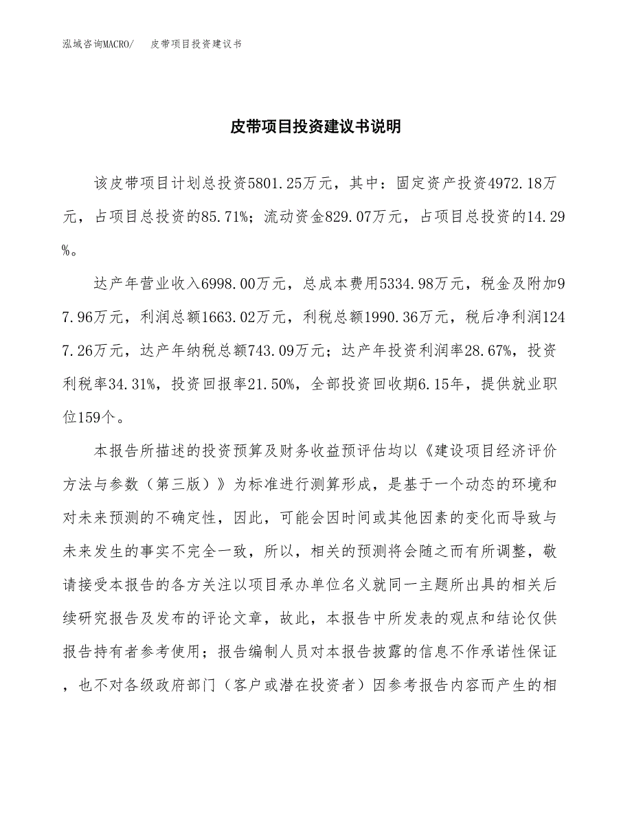 皮带项目投资建议书(总投资6000万元)_第2页