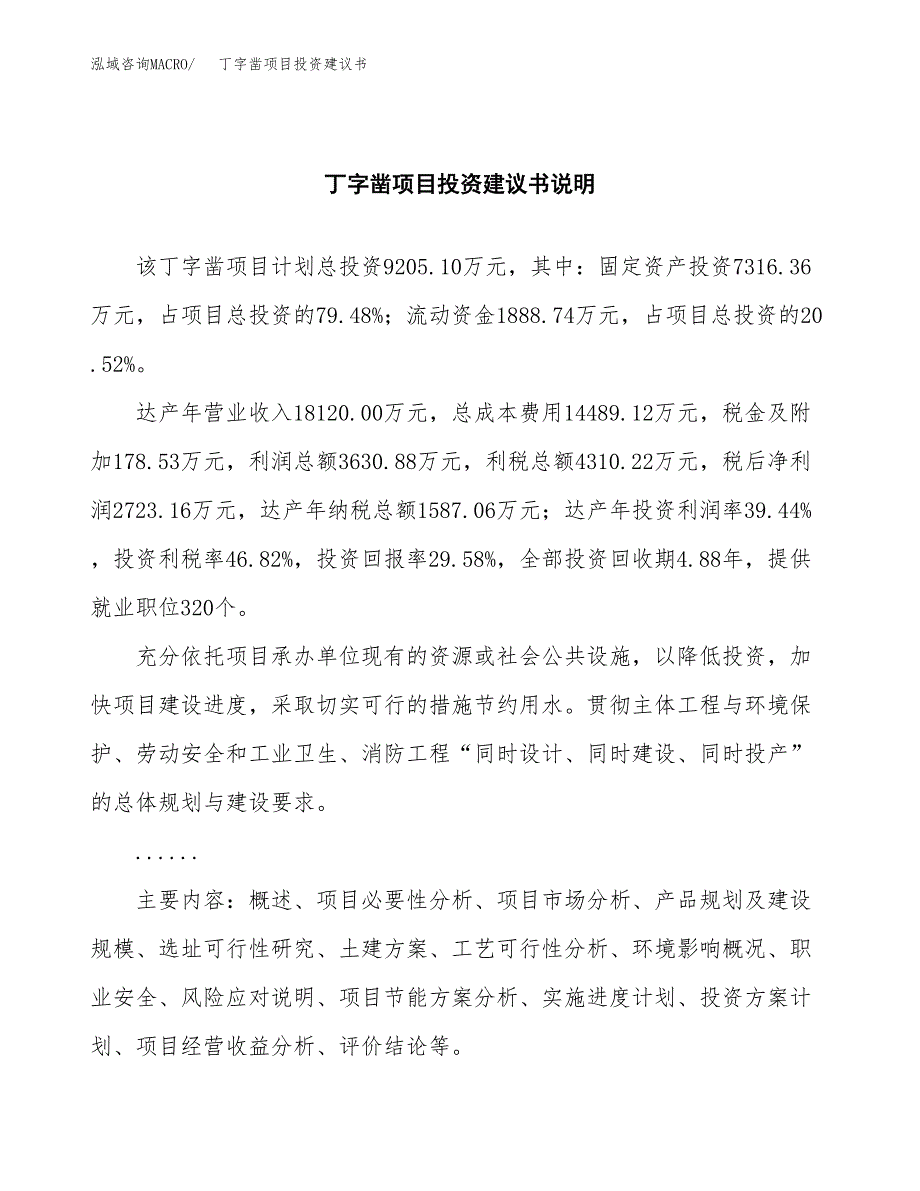 丁字凿项目投资建议书(总投资9000万元)_第2页