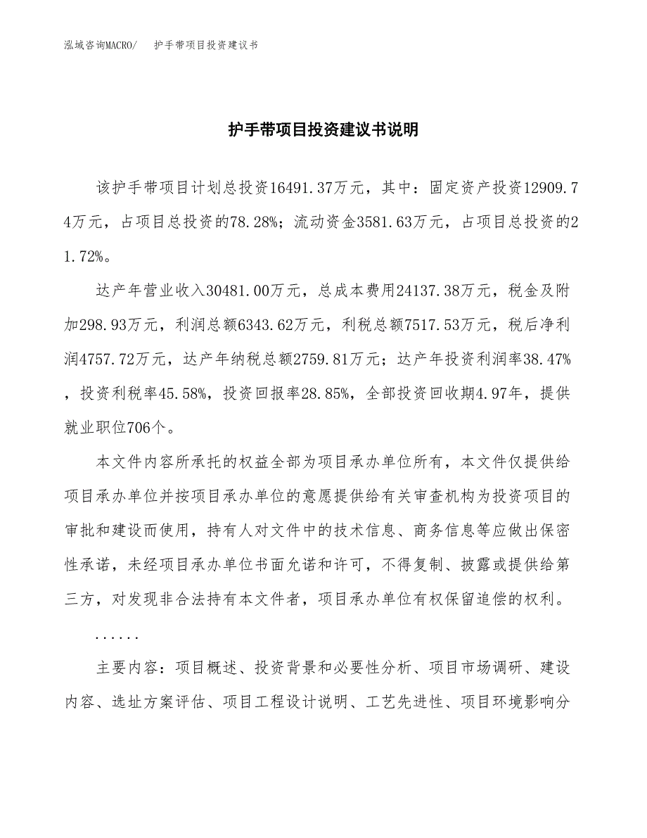 护手带项目投资建议书(总投资16000万元)_第2页