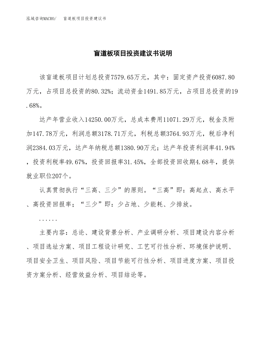 盲道板项目投资建议书(总投资8000万元)_第2页